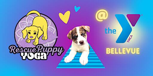 Rescue Puppy Yoga - Bellevue Family YMCA | Bellevue Family YMCA