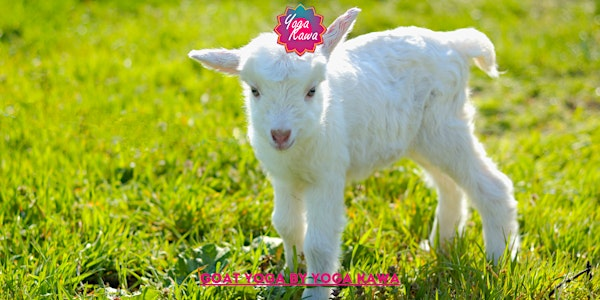 Goat Yoga by Yoga Kawa Mississauga | 1578 Finfar Ct unit # 4