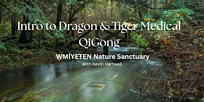 Introduction to Dragon & Tiger Medical Qi Gong | 1772 Millstream Rd