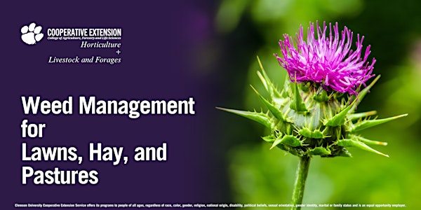 Weed Management for Lawns, Hay, and Pastures | Greenwood County Clemson Extension
