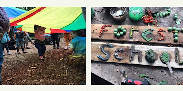 Forest tots stay and play | Holt Country Park