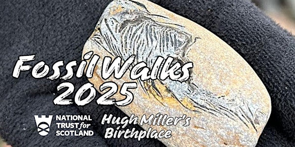 Fossil Walks 2025 | Hugh Miller's Birthplace Cottage & Museum