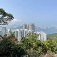 海景大電視打卡位