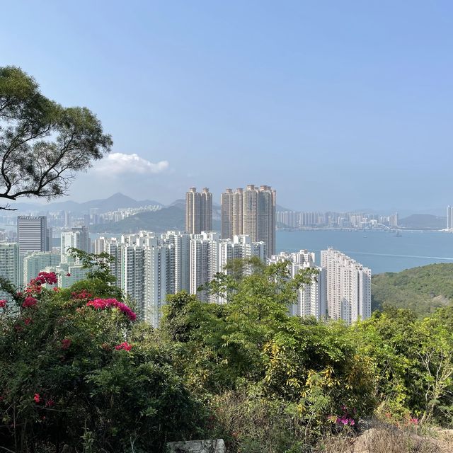 海景大電視打卡位