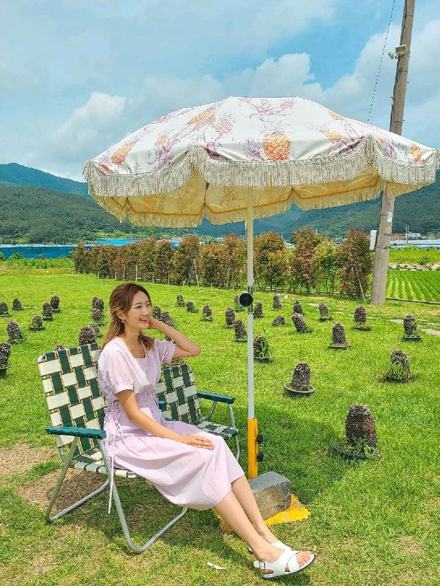 거제맛집 파인에이플러스 