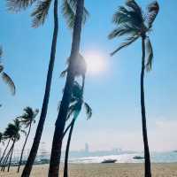 หาดพัทยา จังหวัดชลบุรี