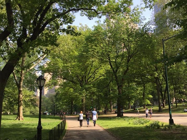 好靚既New York Central Park