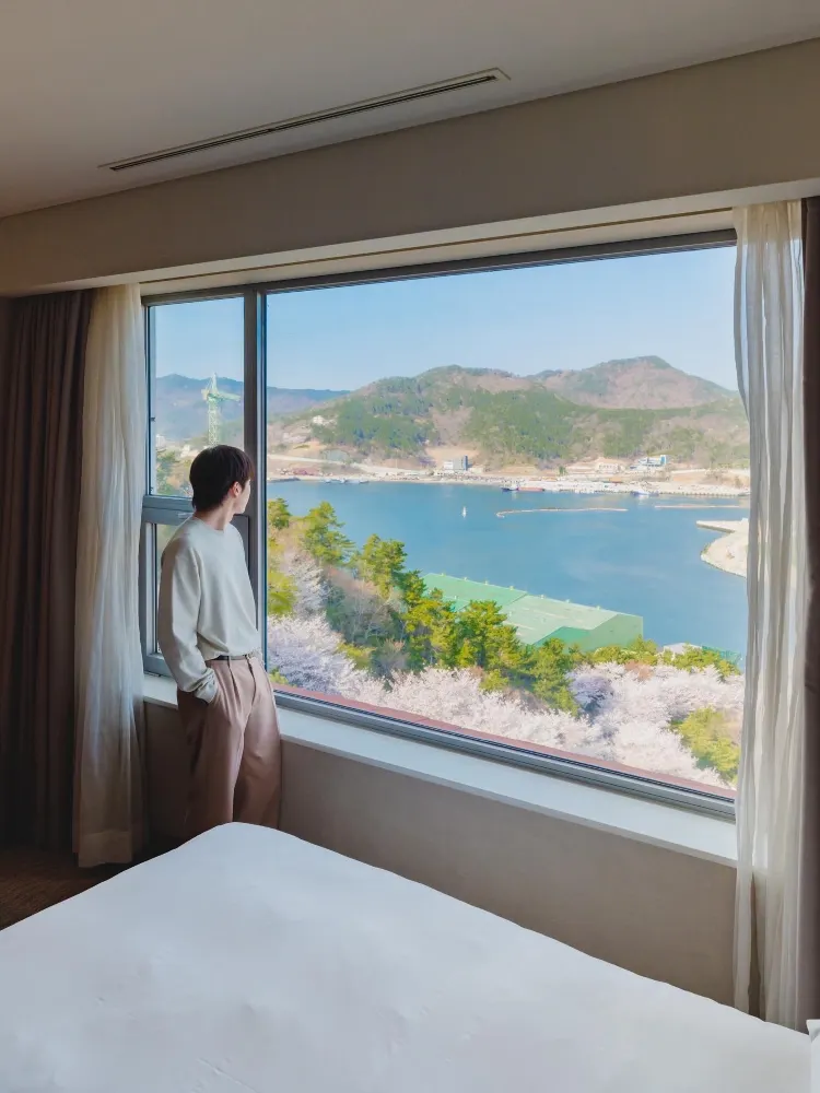 벚꽃뷰🌸 + 오션뷰🌊를 품은 배🚢를 닮은 호텔