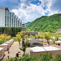 청정지역 힐링여행 추천숙소, 파크로쉬 호텔