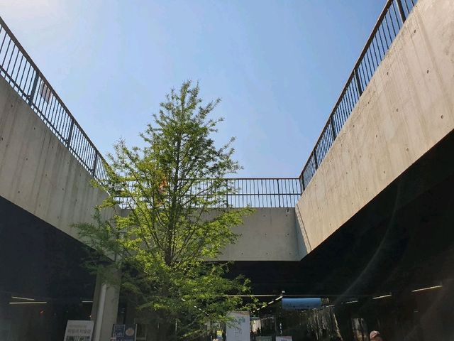 주말 피크닉 장소로 좋은 노들섬 주말 피크닉 장소로 좋은 노들섬