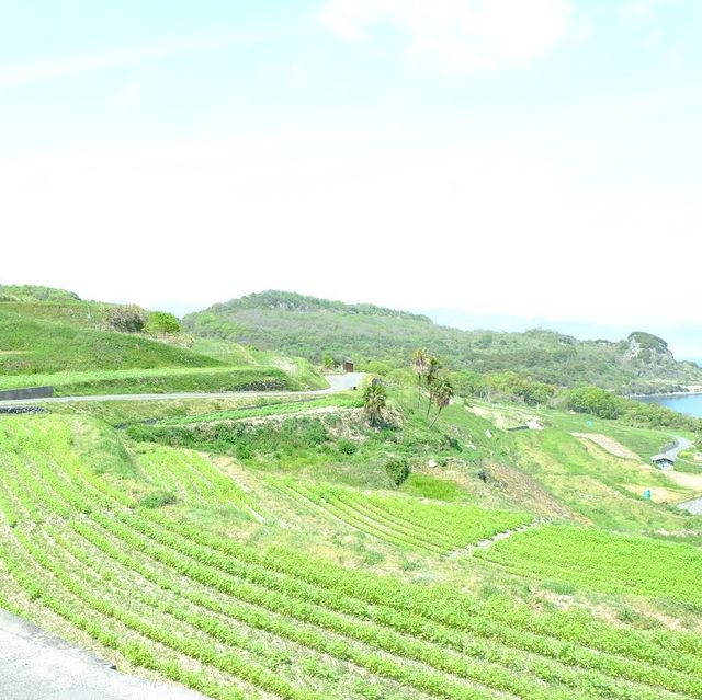 香川県にある豊島に行ってきた！