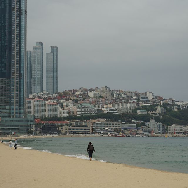 여름철 부산을 간다면 꼭 가야하는 부산여행 1번지