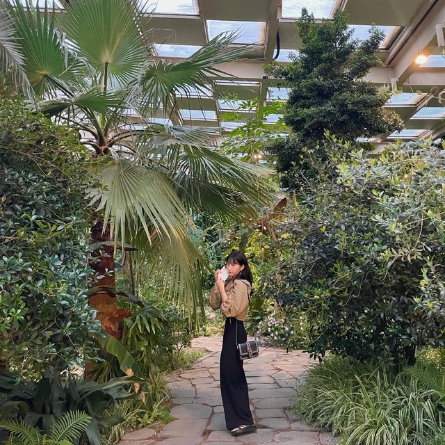 세련된 🌿플랜테리어🌿 돋보이는 양주 카페 <오랑주리>