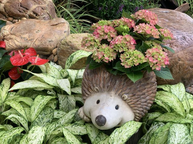 本地遊 | 坐港鐵遊香港 | 金鐘站 | 香港公園｜鬧市賞花好去處