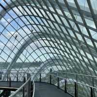 Eye-catching Floral Gardens, Uniquely S’pore