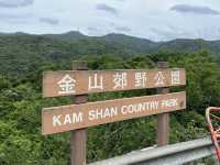 馬騮滿山的金山郊野公園