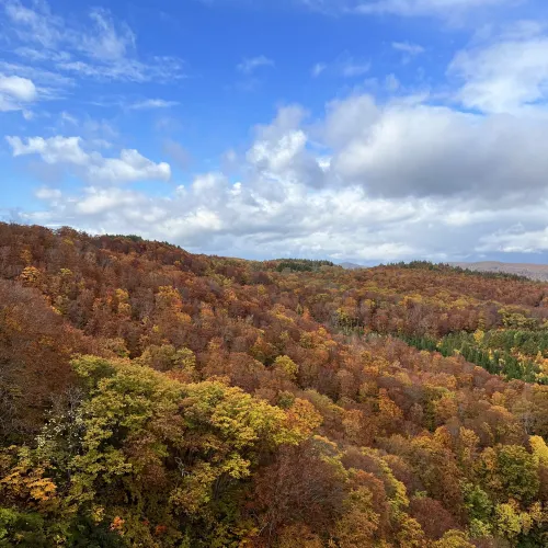 【青森】ちょうど見頃で美しい紅葉スポット