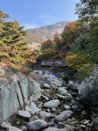 북한산 둘레길 🍁 단풍놀이 명소