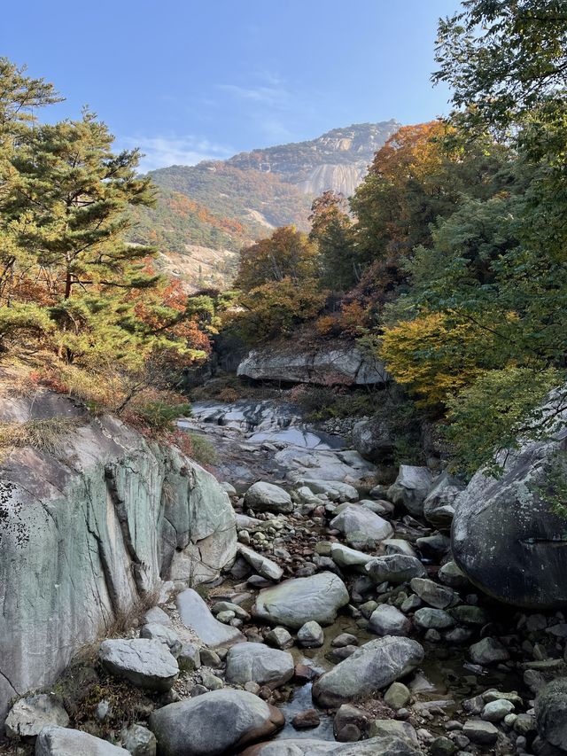 북한산 둘레길 🍁 단풍놀이 명소