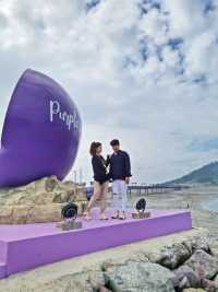 보라보라해💜세계 최우수 관광마을 전남신안 퍼플섬! 퍼플교💜💜