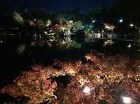 【滋賀】紅葉ライトアップ！彦根城をご紹介