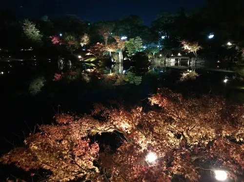 【滋賀】紅葉ライトアップ!彦根城をご紹介