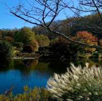 Beautiful park to watch autumn ending