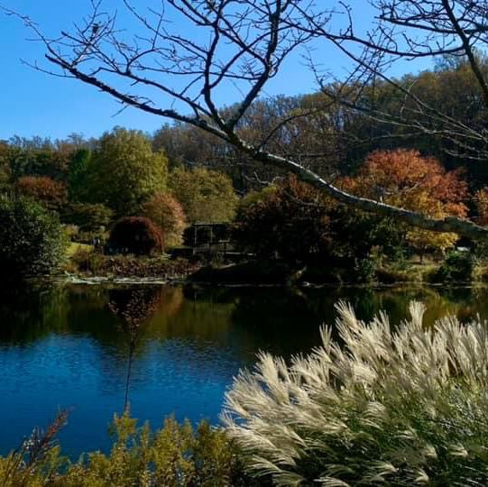 Beautiful park to watch autumn ending