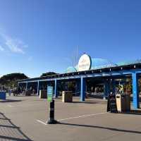 Sea World 海洋世界 