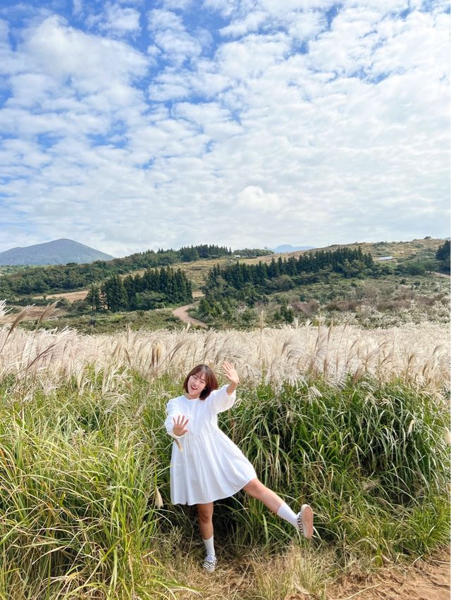 제주 가을 필수 여행 코스, ‘새별오름’
