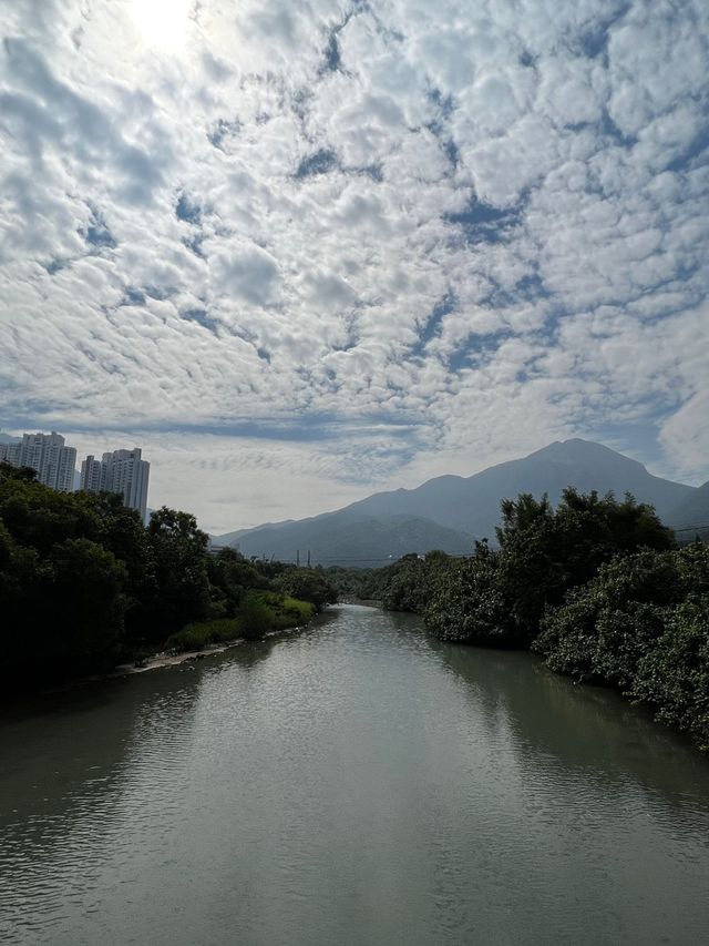 東澳古道｜4小時行山徑｜東涌行到大澳｜約14公里 🍂