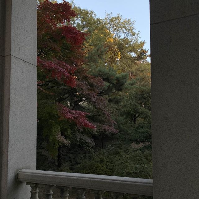 덕수궁 석조전에서 만나는 단풍 
