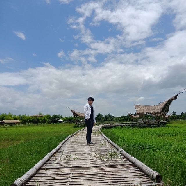 Chapulin food & cafe