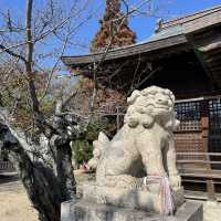 【兵庫県】赤穂岬の守り神「伊和都比売神社」へ