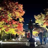 【京都】世界遺産で紅葉のライトアップ