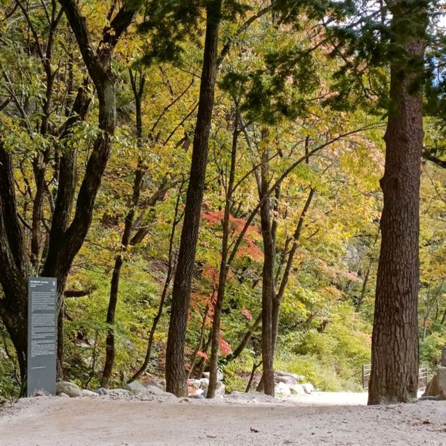 Hiking at Seoraksan 