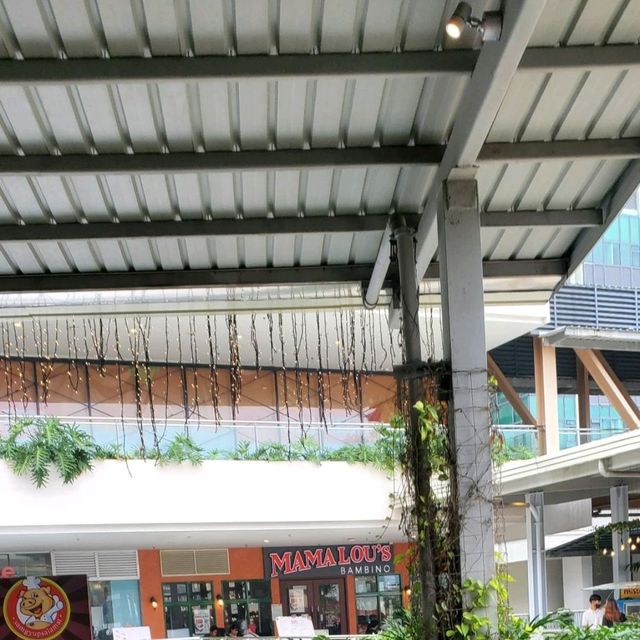 Christmas @Citcuit Makati