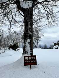 눈오는 날 더 매력적인 후키다시 공원 🏞️