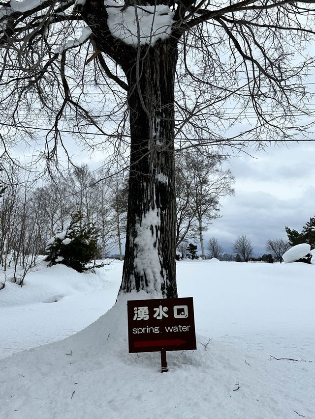 눈오는 날 더 매력적인 후키다시 공원 🏞️