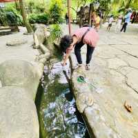 Petting zoo in KL city 