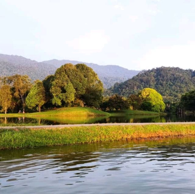 Riding Paddle Boat in Taiping Lake Gardens