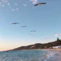 Tangalooma, Moreton Island 