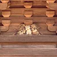 滿滿招財貓🐱日本必去豪徳寺