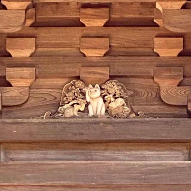 滿滿招財貓🐱日本必去豪徳寺