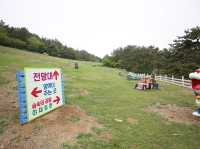 남해 양떼목장 양모리학교 너무 재밌어