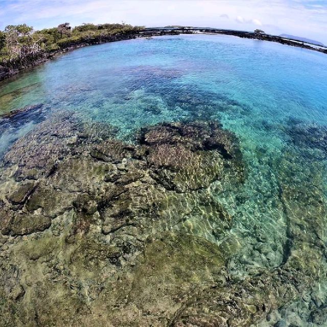 【ガラパゴス諸島】動物好きにはたまらない島！