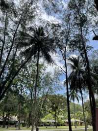 อุทยานแห่งชาติตะรุเตา
