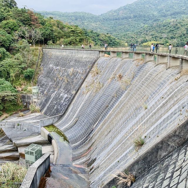 港版嵐山竹林之道