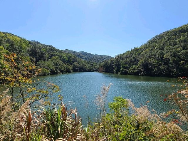 港版輕井澤雲場池~流水響水塘🏞️