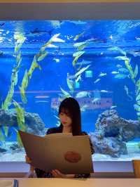 아쿠아리움이 보이는 고급 레스토랑 광교 수린 🐬💙
